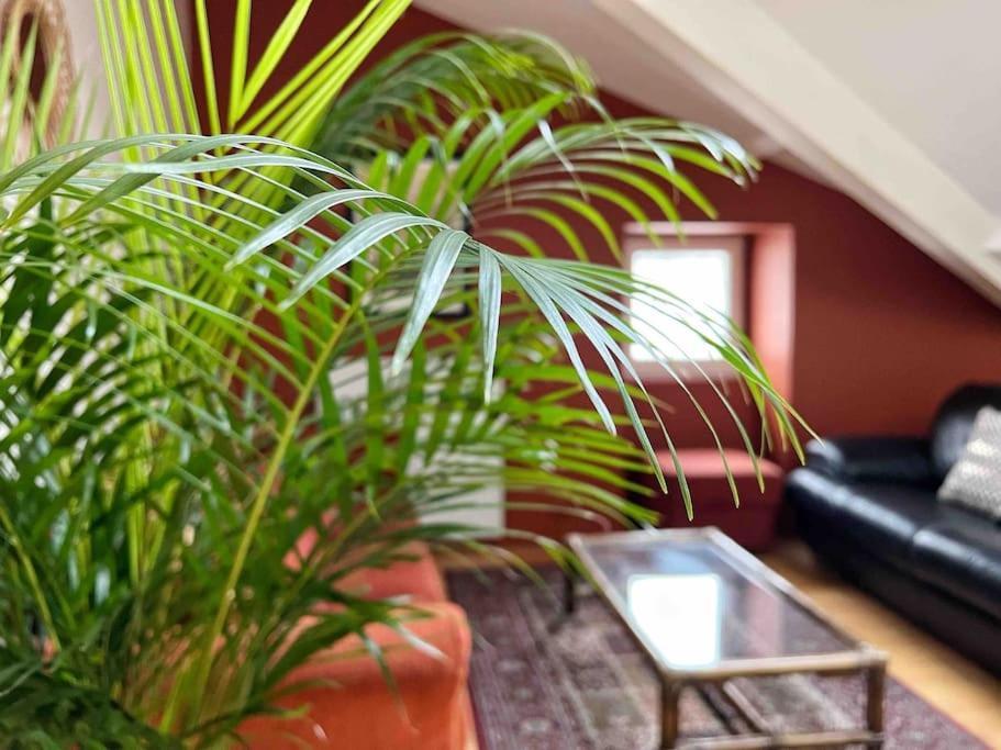 Le Triplex Terracotta Apartment Nantes